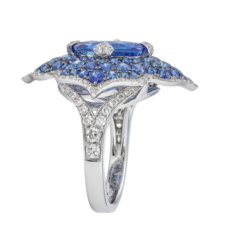 White Gold Pasha Ring - Blue Sapphire