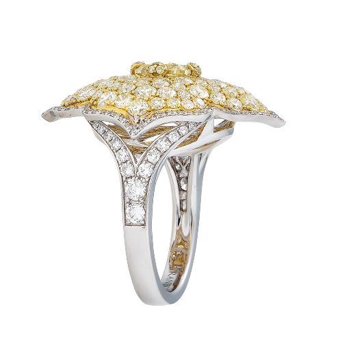 Yellow Gold Pasha Ring