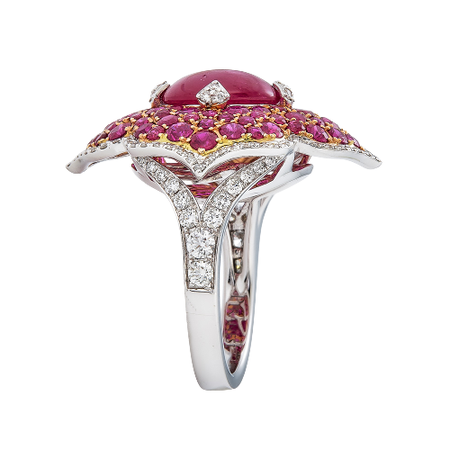 White Gold Pasha Ring - Ruby
